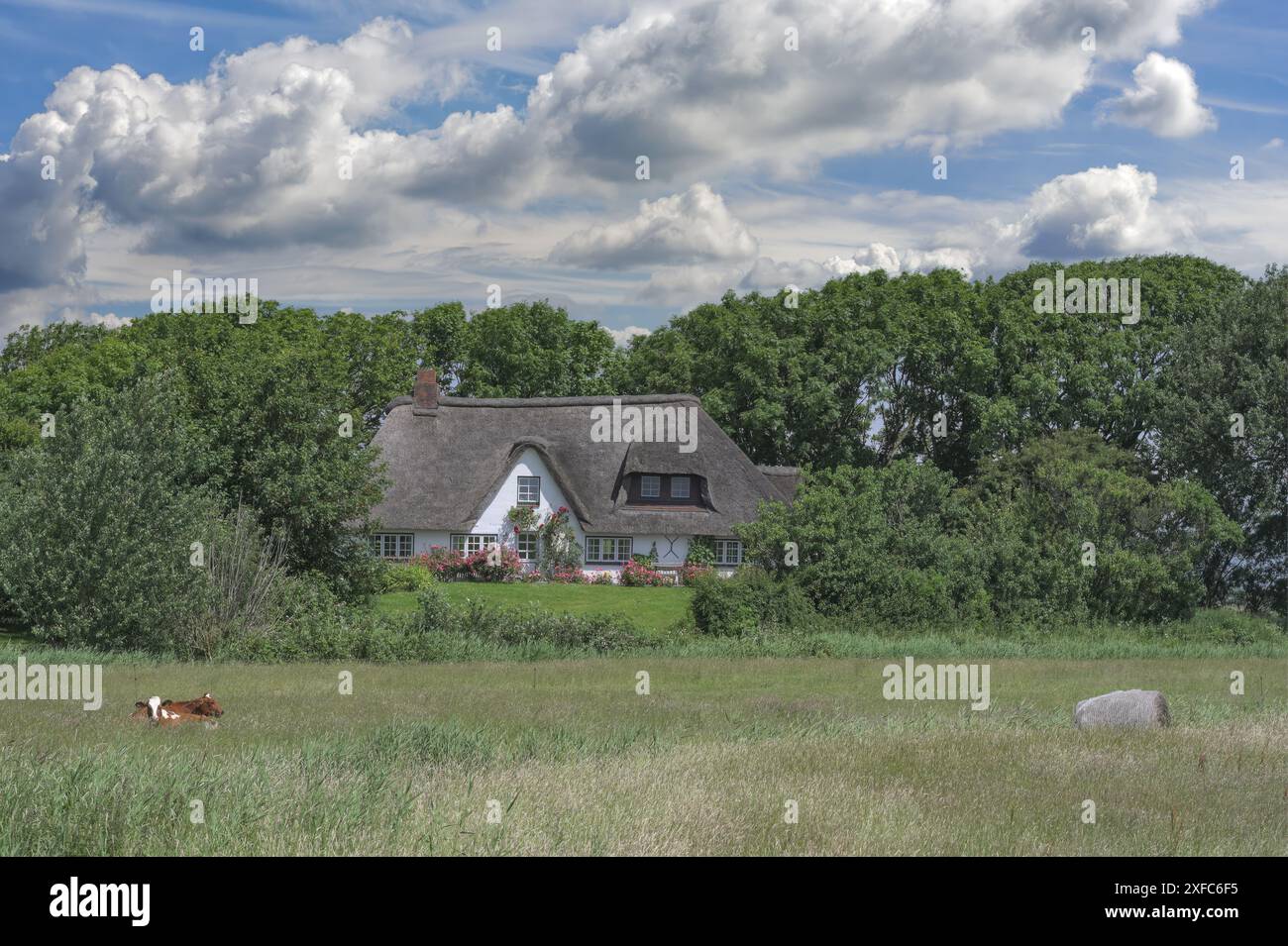 Fattoria tradizionale chiamata Haubarg sulla penisola di Eiderstedt vicino a Sankt Peter-Ording, Mare del Nord, Frisia settentrionale, Germania Foto Stock