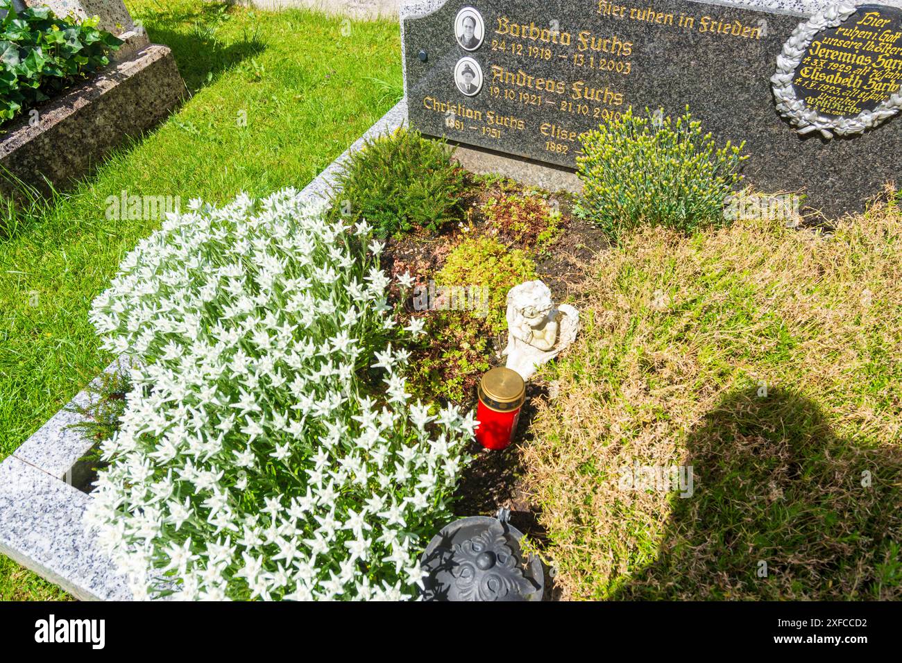 Maria Alm am Steinernen Meer: Tomba con fiori di stella alpina a Pinzgau, Salisburgo, Austria Foto Stock