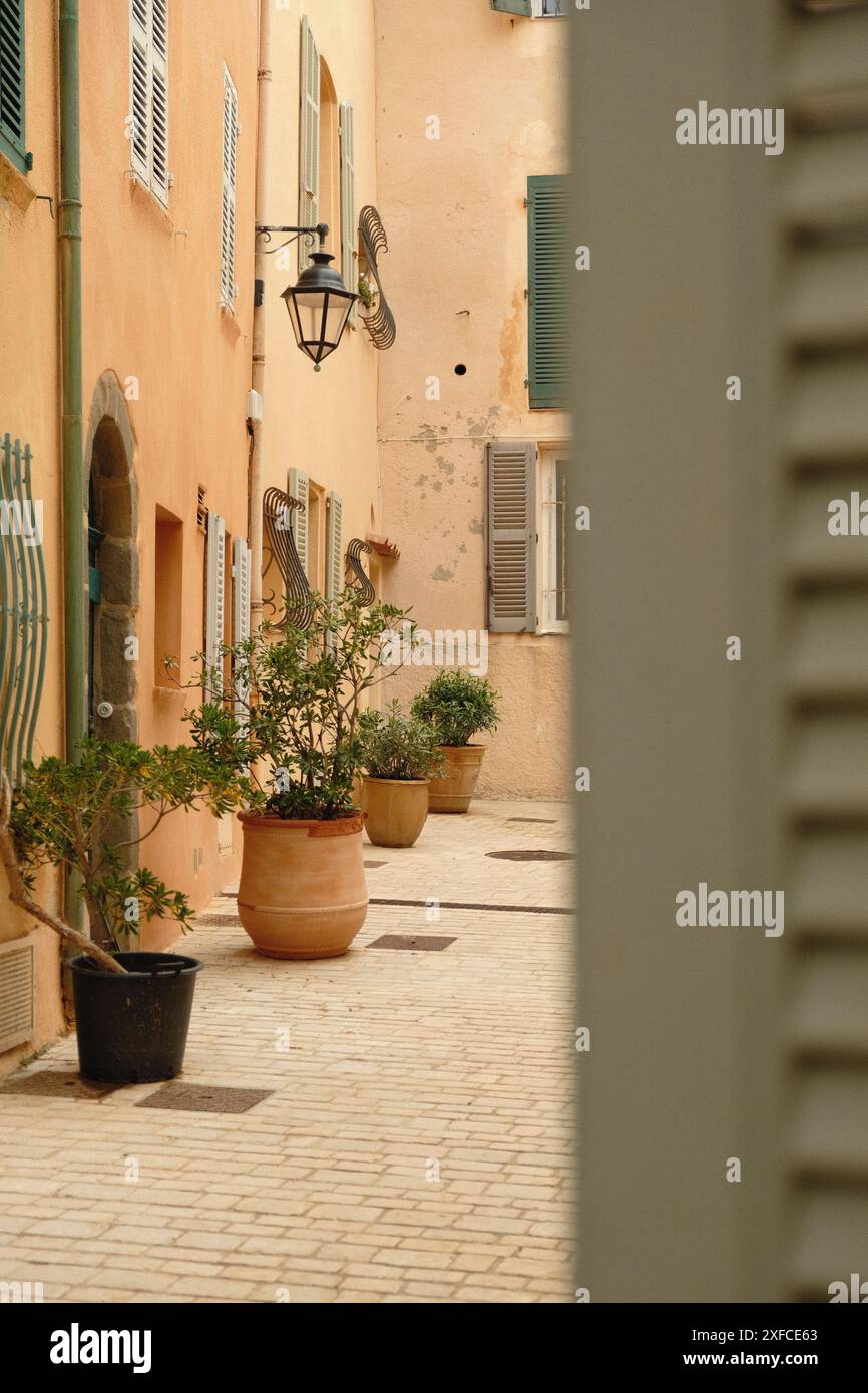 Pittoresco vicolo in una città mediterranea. La scena presenta edifici color pastello con persiane verdi, piante in vaso lungo il tappeto acciottolato Foto Stock