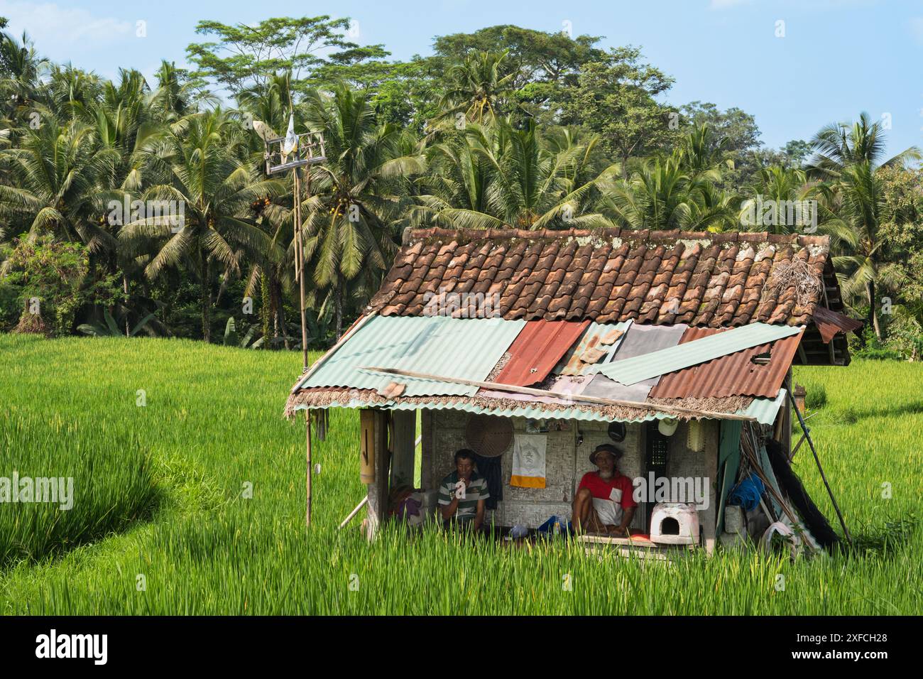 Fai una pausa nei campi di riso, Ubud, Bali Foto Stock