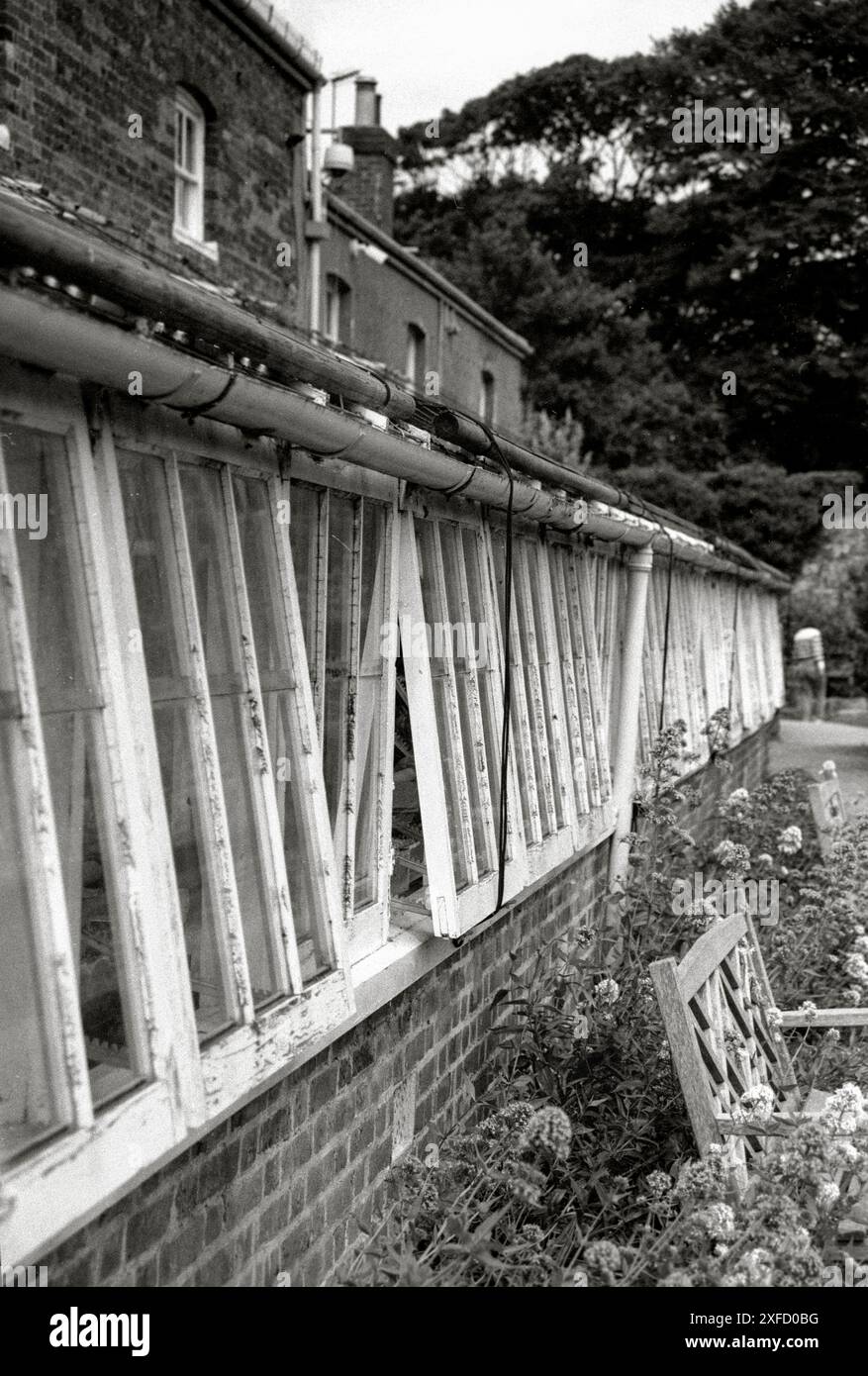 Cornici per finestre in legno di una serra nei giardini del castello di Walmer, a Walmer nel Kent. Costruita nel 1540, in seguito una casa della Regina madre. Foto Stock