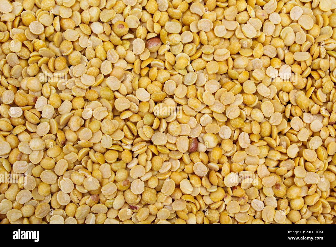 Vista ravvicinata dal dente o dall'arhar dal Foto Stock