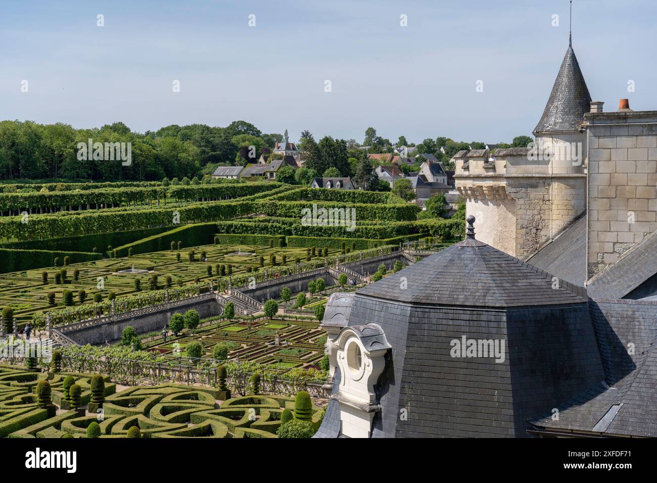 Il labirinto di château Villandry in Francia Foto Stock