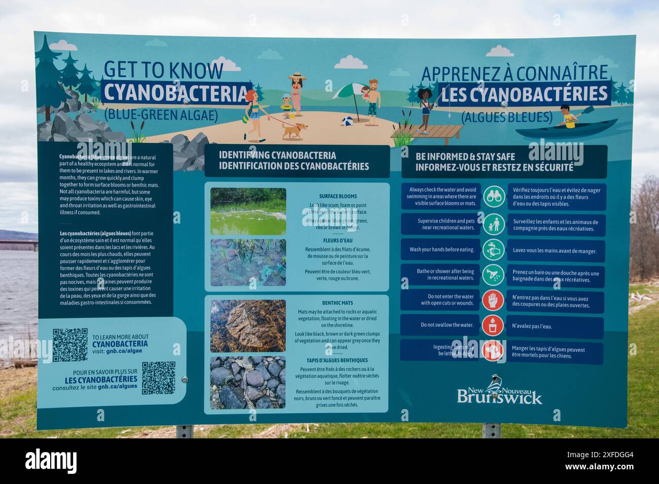 Cartello informativo sui cianobatteri sul lungofiume nord a Fredericton, New Brunswick, Canada Foto Stock