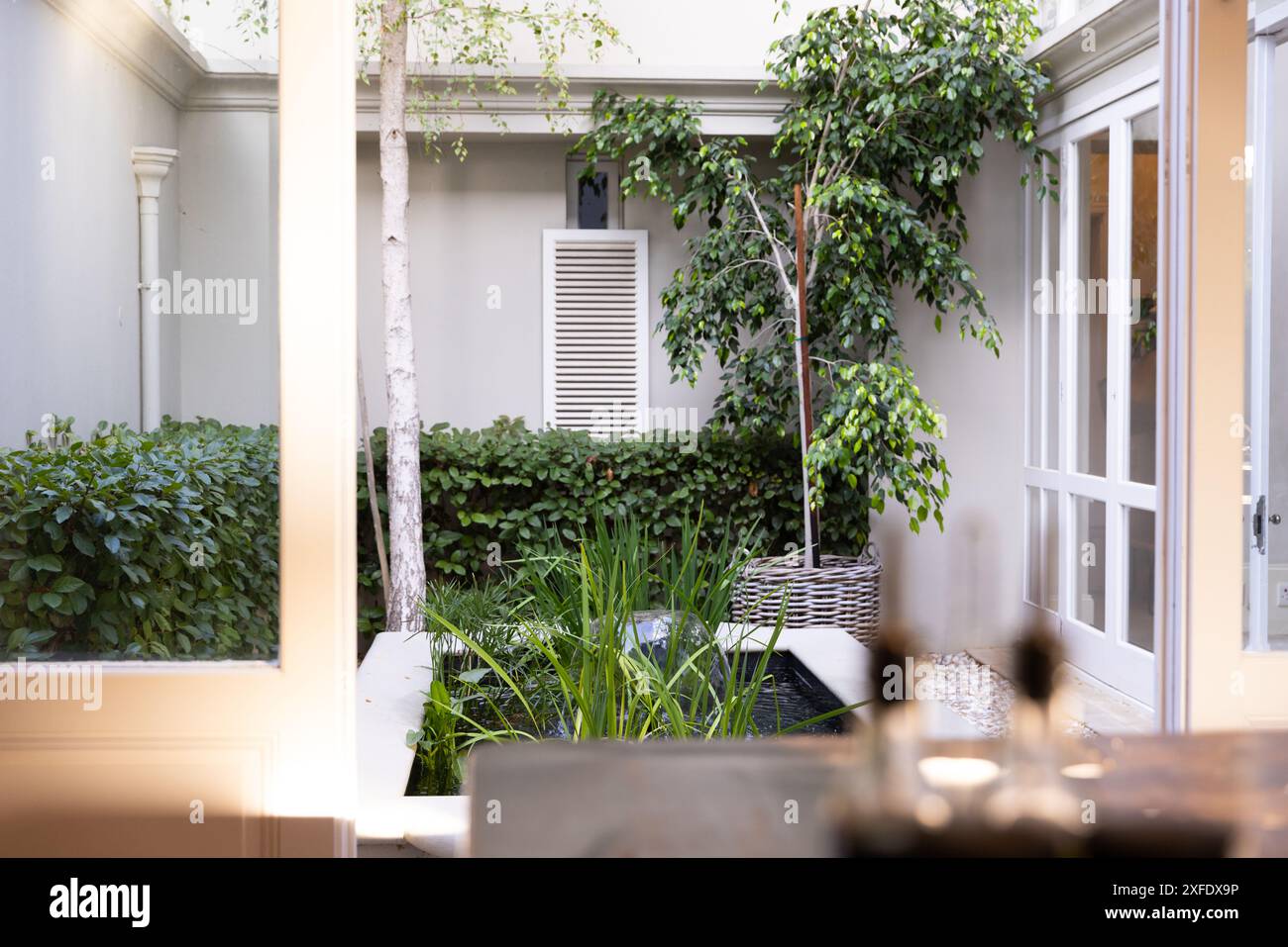 Vista del tranquillo giardino interno con vegetazione lussureggiante e piante in vaso in una casa moderna, spazio copia Foto Stock