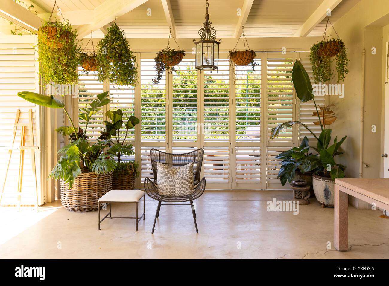 Patio interno con piante appese e mobili in vimini, creando un'atmosfera accogliente e spazio per copiare Foto Stock