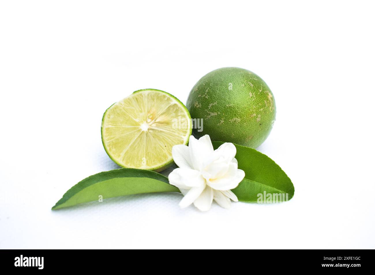 Il Limone verde siciliano, un agrumato con buccia verde, è una varietà molto pregiata che matura in estate. Il limone del verdello è riconoscibile da Foto Stock