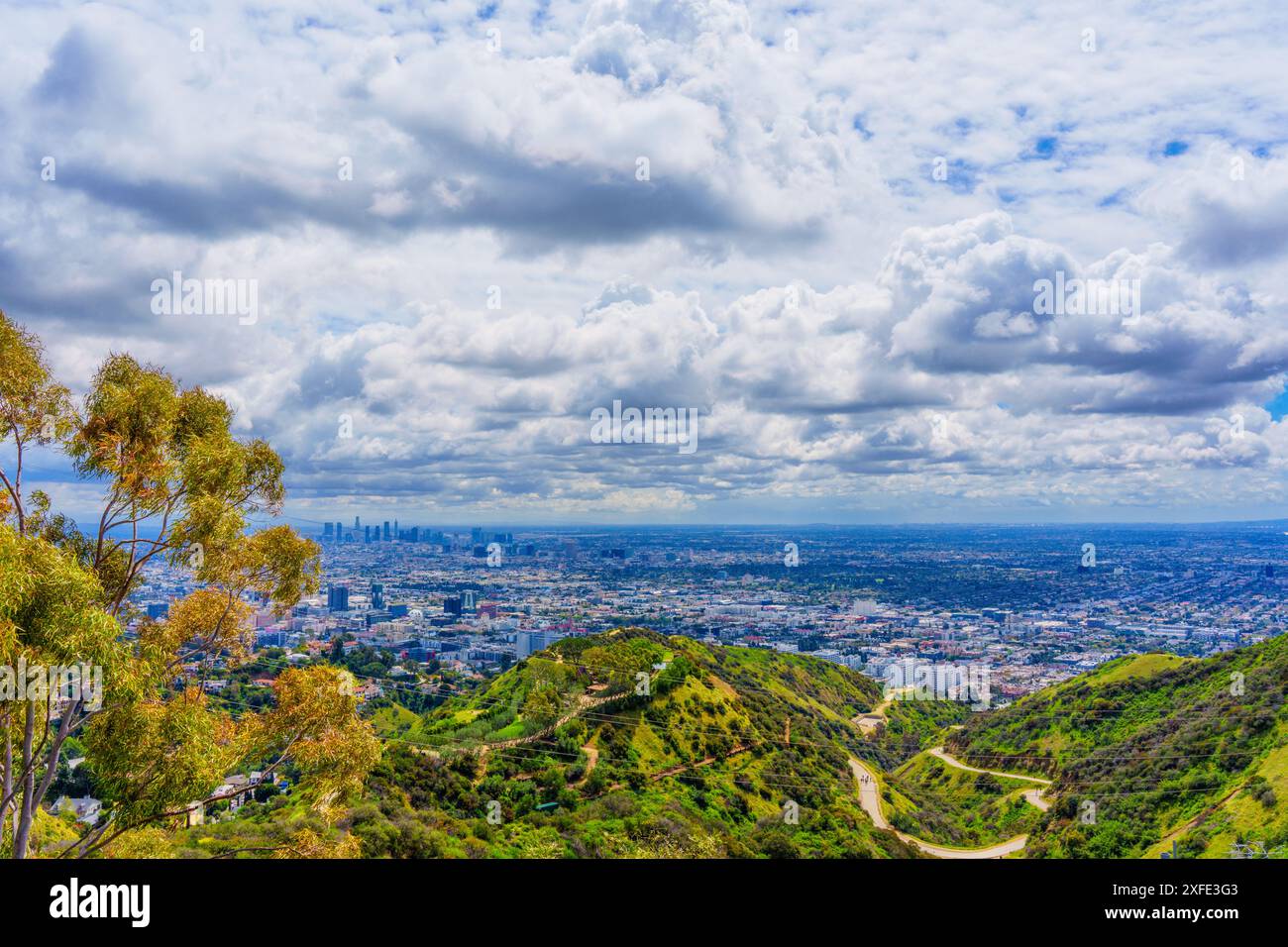 Vista dal Runyon Canyon Park delle nuvole d'atmosfera che si innalzano su Los Angeles. Foto Stock