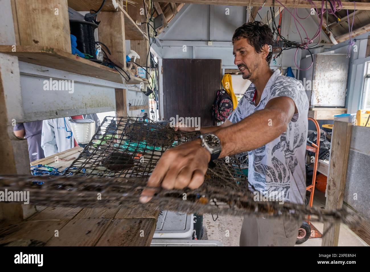 Polinesia francese, Isole della società, Tahaa, allevamento di perle Champon Foto Stock