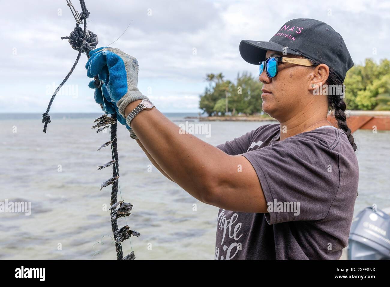 Polinesia francese, Isole della società, Tahaa, allevamento di perle Champon Foto Stock