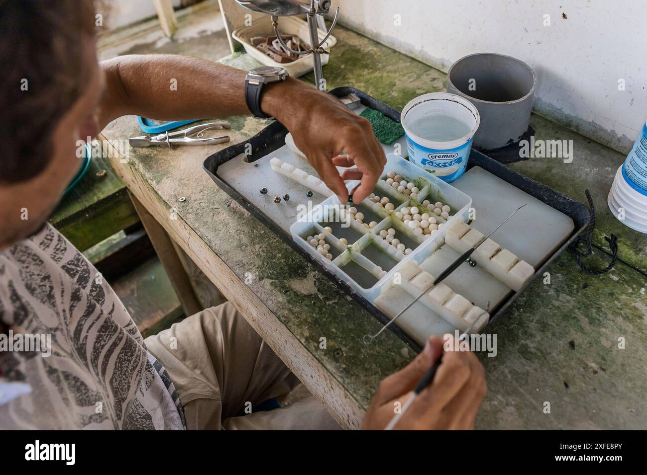 Polinesia francese, Isole della società, Tahaa, allevamento di perle Champon Foto Stock