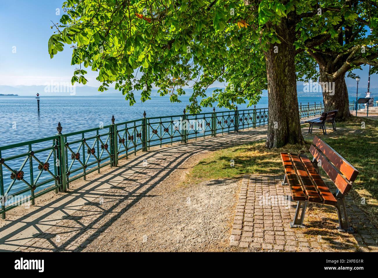 Panchina sull'idilliaca passeggiata a Friedrichshafen, sul Lago di Costanza, nella Germania meridionale Foto Stock