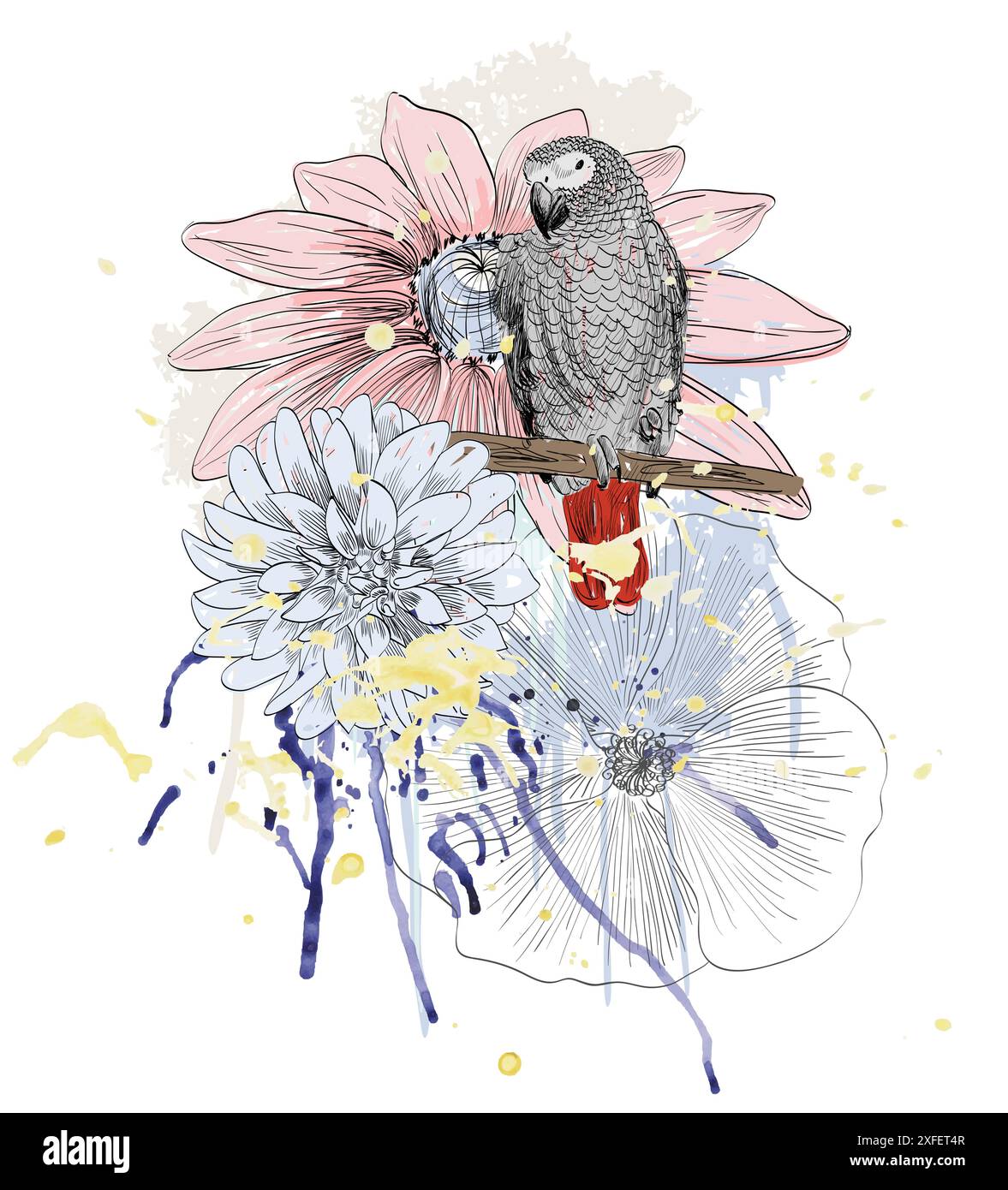 pappagallo Illustrazione Vettoriale