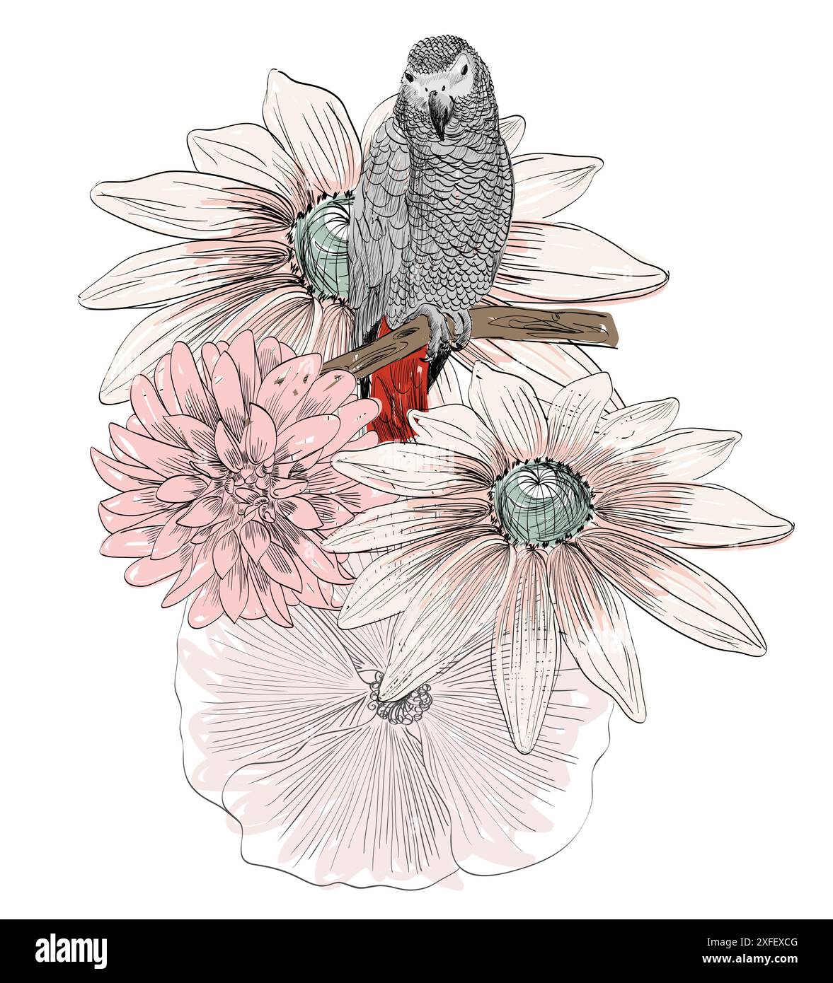 pappagallo e fiori Illustrazione Vettoriale