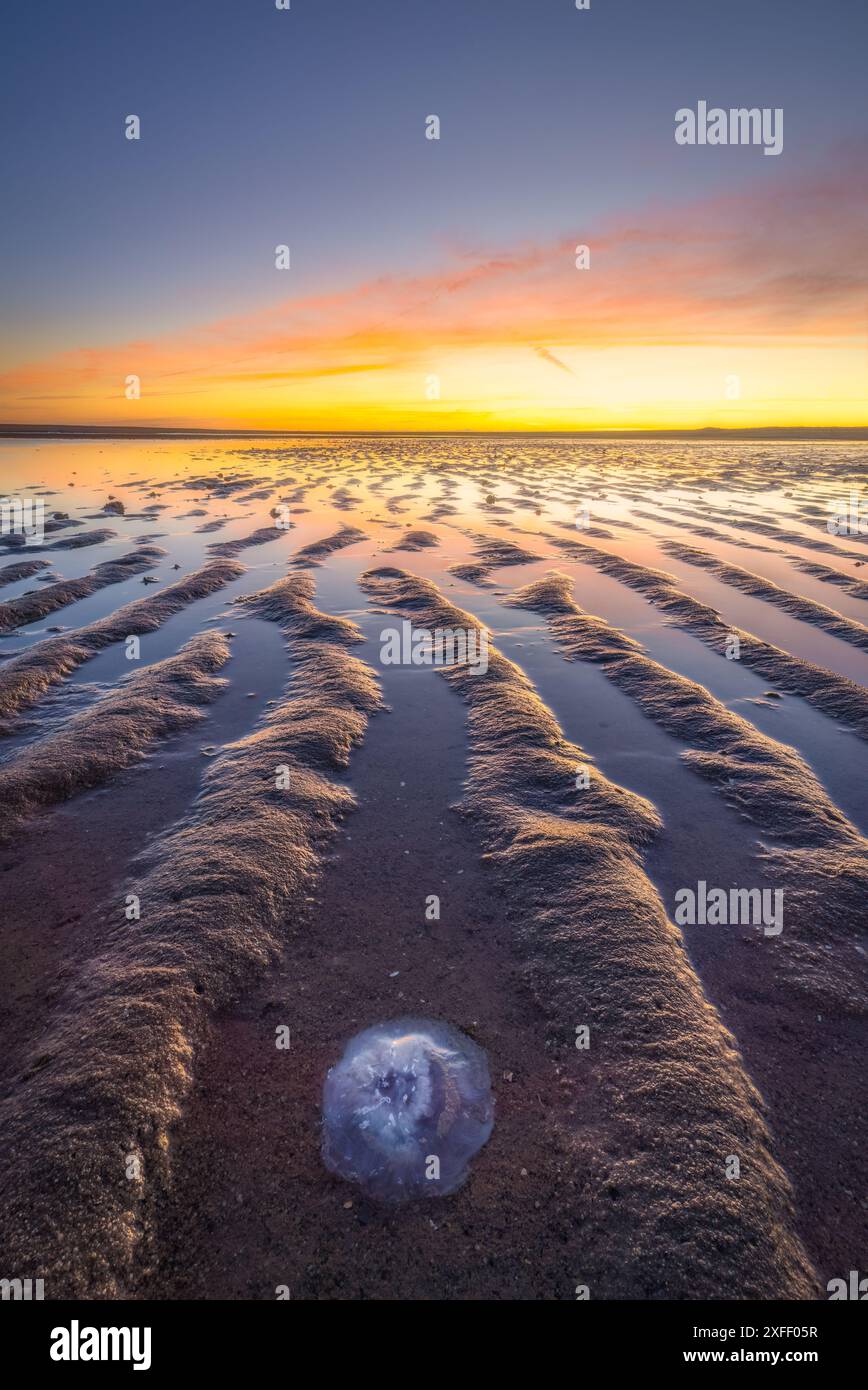 Una splendida serata sulla spiaggia vicino a Rotterdam, nei Paesi Bassi, con forti linee guida sulla sabbia e un vibrante tramonto dai colori vivaci Foto Stock