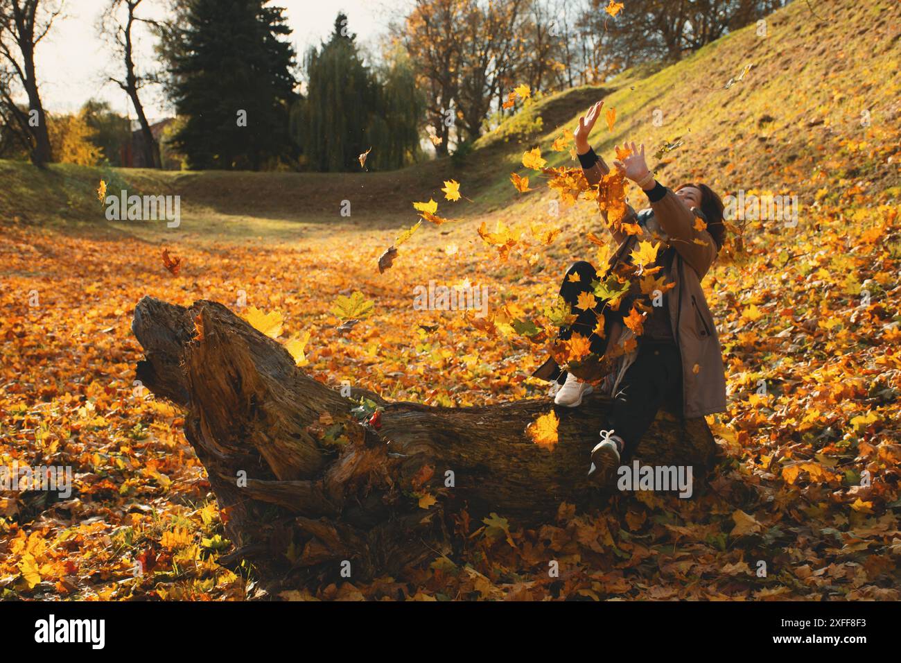 Una donna di 50 anni si siede su un tronco, gioca con le foglie autunnali nel parco in una calda giornata di sole, cattura le foglie cadenti con le mani e ride Foto Stock