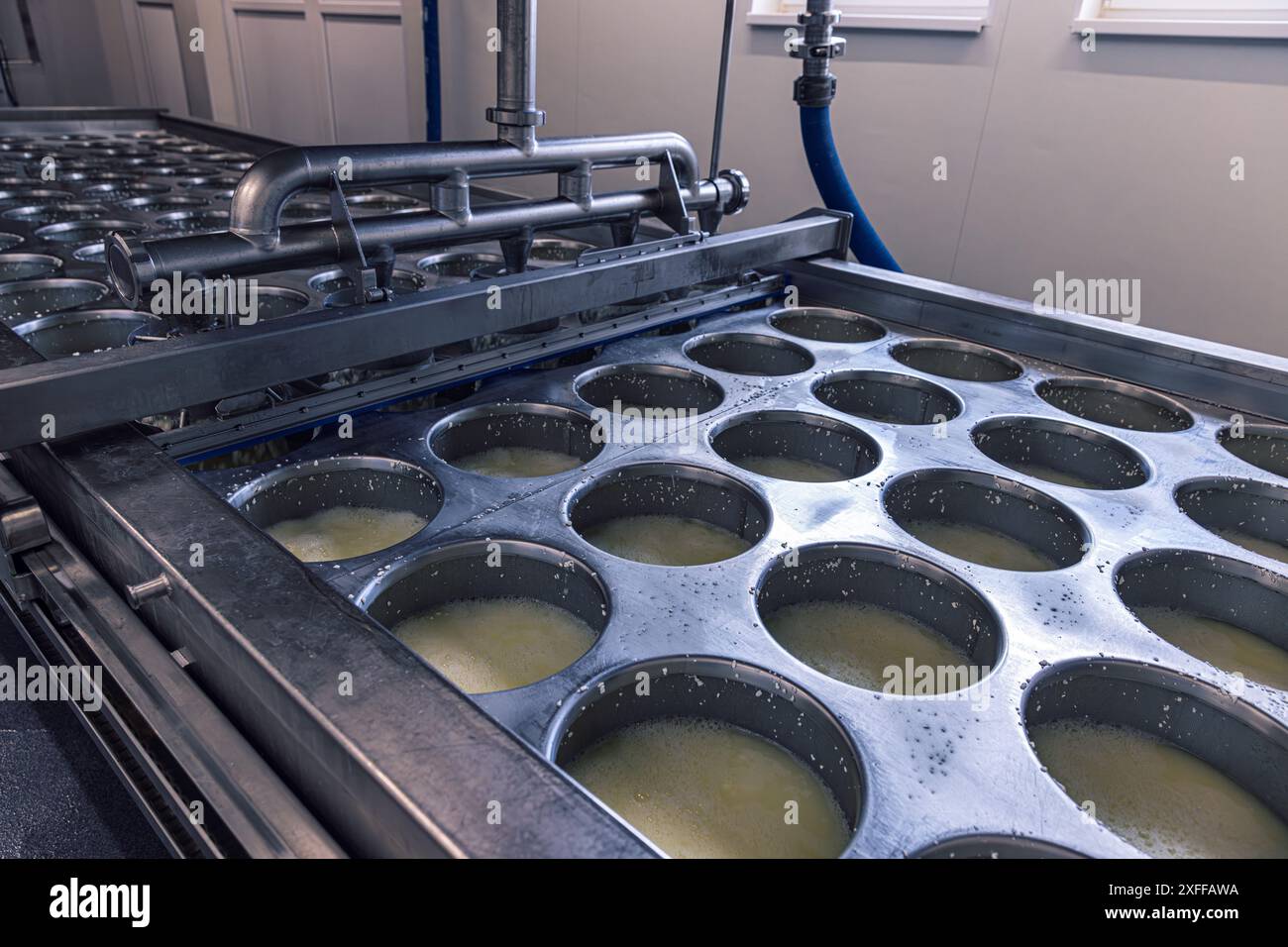I caglioli di formaggio fresco vengono pressati e separati da una macchina automatizzata in un caseificio Foto Stock