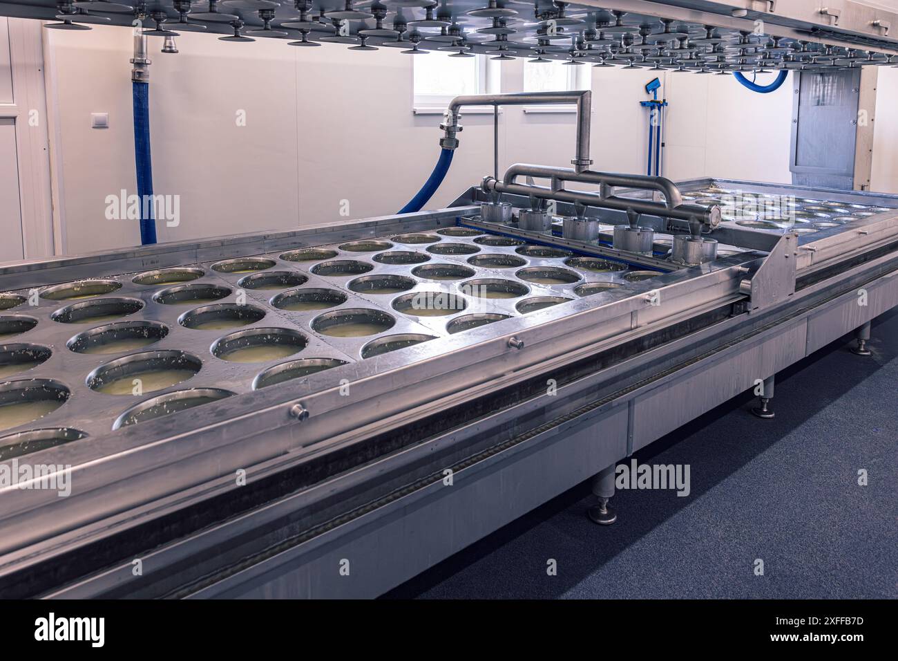 Processo industriale di produzione del formaggio che mostra la separazione della cagliata dal siero di latte in caseificio Foto Stock