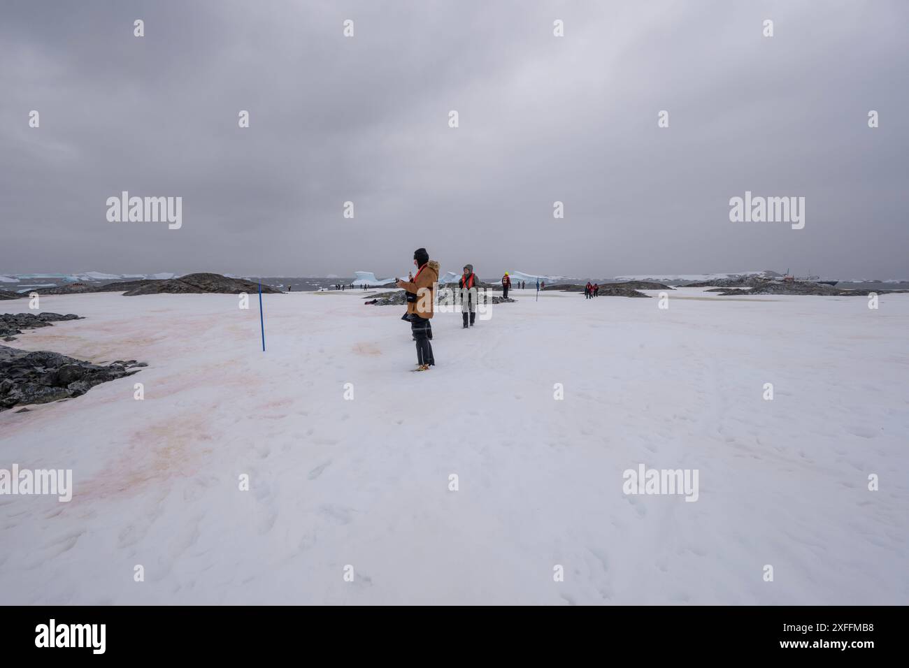 Gruppo di spedizione Oceanwide sull'Isola Yalour, Penisola Antartica Foto Stock