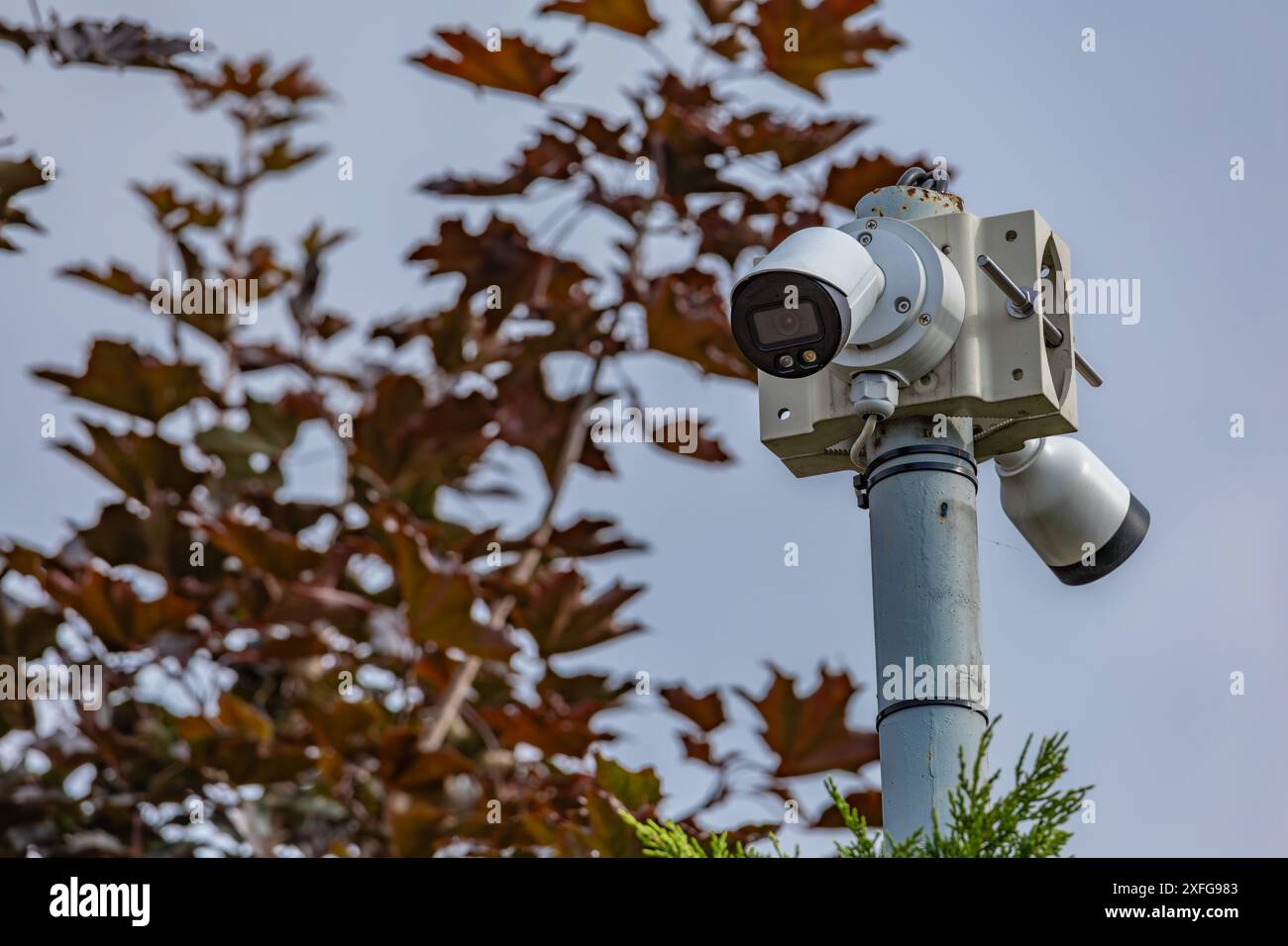 Videocamera appesa al muro per la videosorveglianza Foto Stock