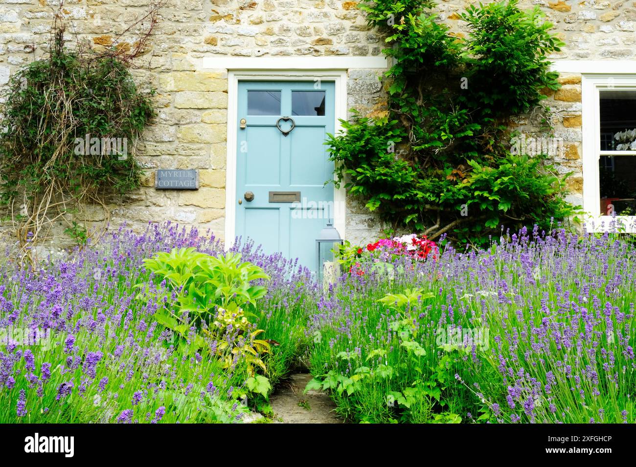 Cottage di campagna con giardino frontale riccamente piantato con lavanda - John Gollop Foto Stock