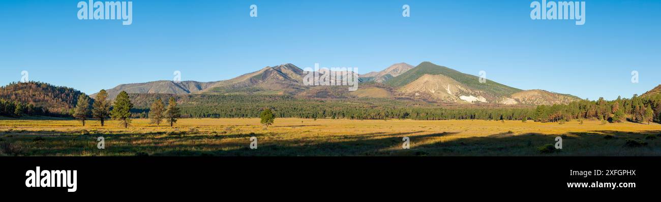 San Francisco Peaks nella Coconino National Forest, Arizona, USA Foto Stock