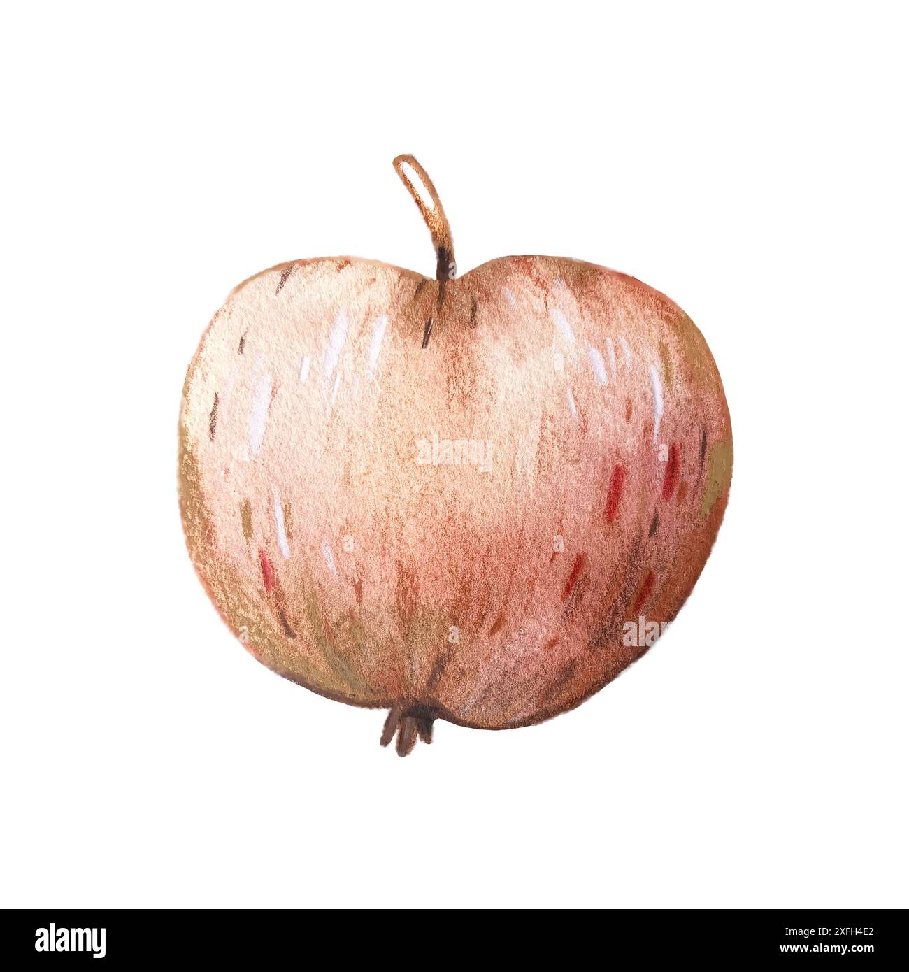 Illustrazione ad acquerello Apple disegnata a mano e isolata su sfondo bianco. Foto Stock