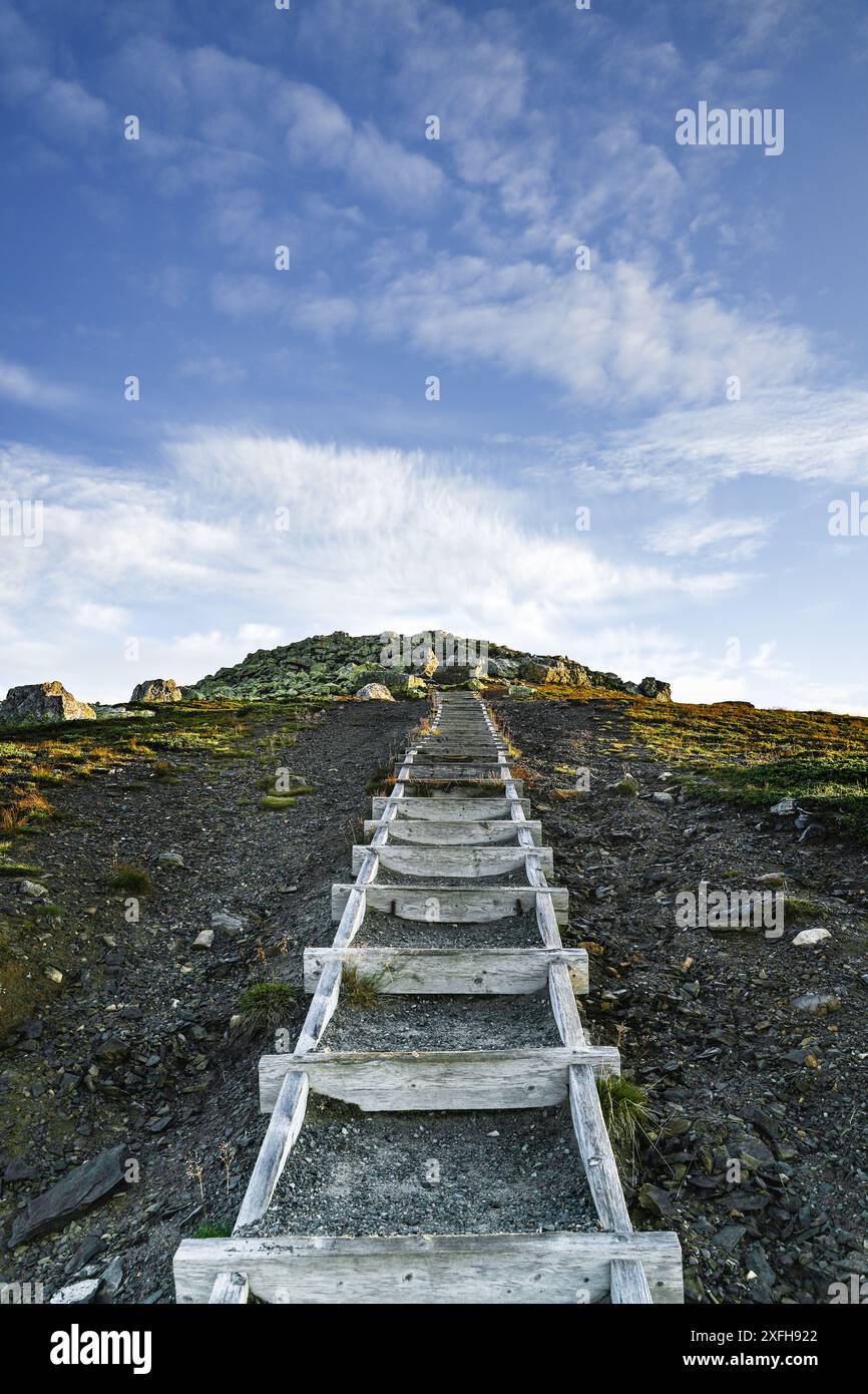 Gradini di legno che conducono alla montagna rocciosa di Lillnipen a Idre, Dalarna, Svezia, sotto un cielo blu luminoso con nuvole bianche Foto Stock