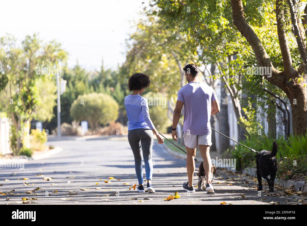 Cane da passeggio nelle vicinanze, coppia che ama passeggiare all'aperto con sorrisi e spazio per copiare Foto Stock