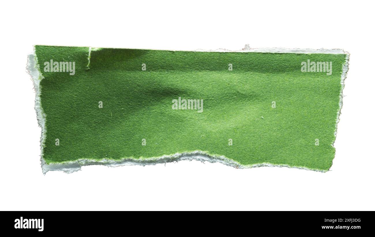 Carta strappata verde e bianca da utilizzare come casella di testo su sfondo bianco con tracciato di ritaglio Foto Stock