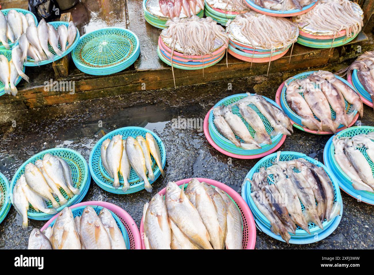 Pesce appena pescato, calamari e polpo al mercato del pesce. Pesce fresco. Foto Stock