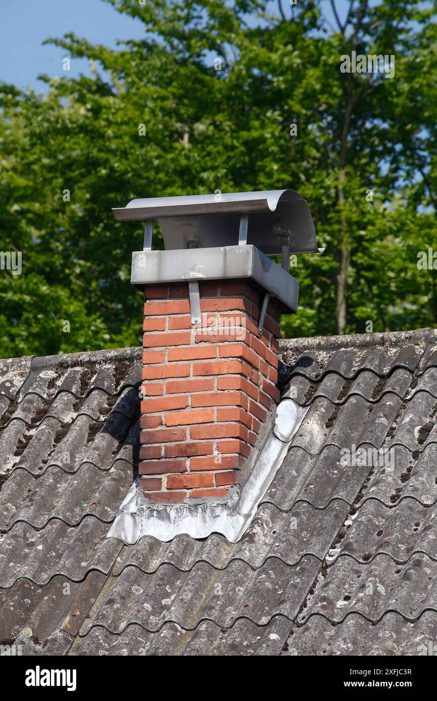 Tetto, mattoni grigi, Chimney, Germania Foto Stock