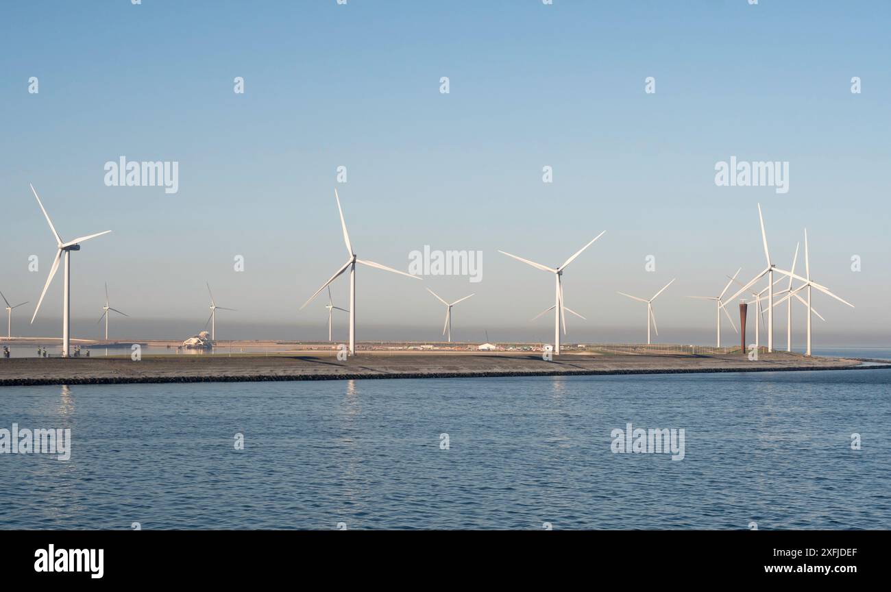 Il parco eolico offshore di Rotterdam visto da un traghetto in avvicinamento, Paesi Bassi, Europa Foto Stock