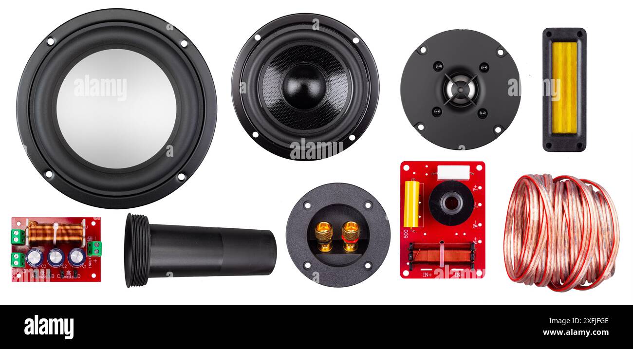 Imposta la raccolta di componenti audio come il cavo audio dell'altoparlante subwoofer tweeter e il crossover isolato su un backgrounss bianco. concetto hifi fai-da-te Foto Stock