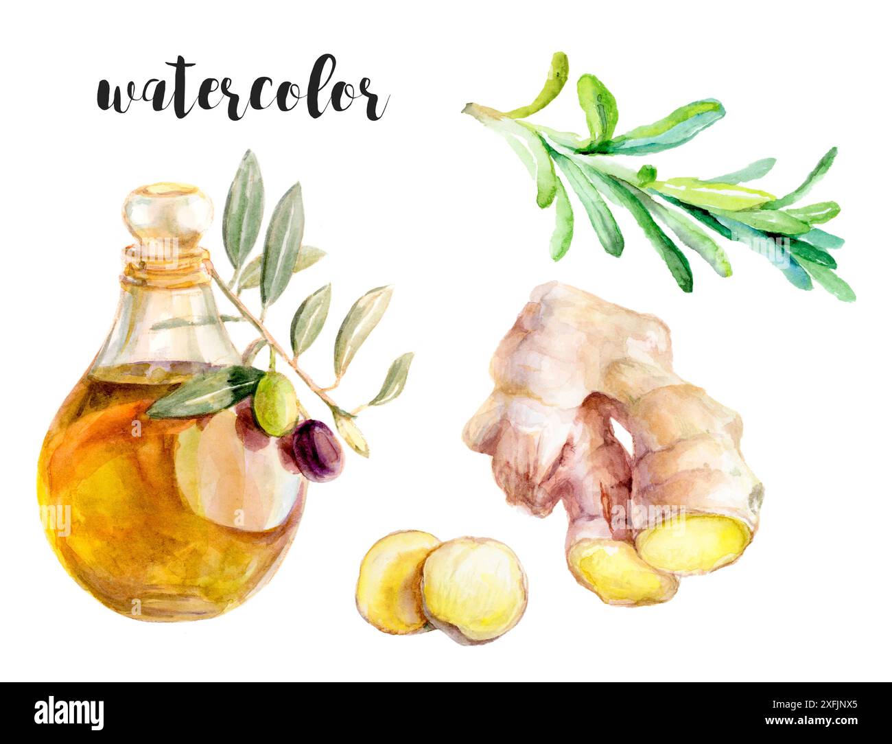 Olio d'oliva fresco, zenzero e rosmarino sono gli ingredienti chiave di questa ricetta culinaria per cucinare Foto Stock Olio d'oliva fresco, zenzero e rosmarino sono gli ingredienti chiave di questa ricetta culinaria per cucinare Foto Stock