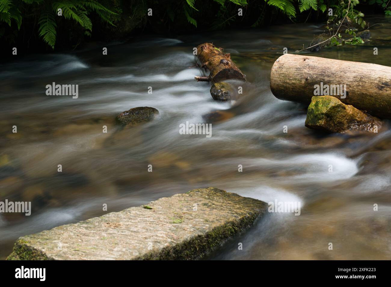 Ruscello che scorre con acqua liscia e pietre naturali circondato dal verde in un ambiente forestale durante le ore diurne Foto Stock