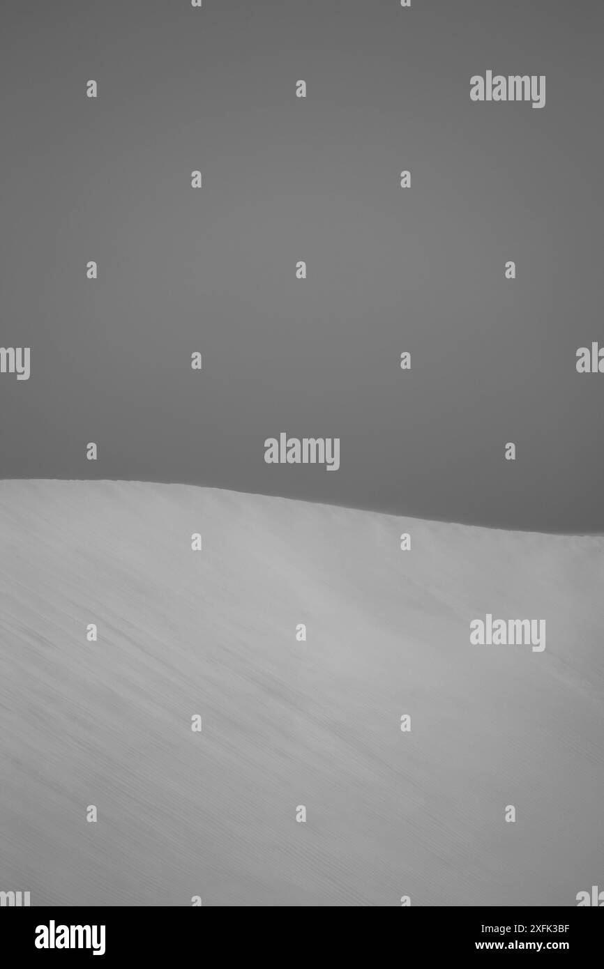 L'isola di Socotra offre una natura incredibile, paesaggi e specie botaniche rare e uniche. fauna e flora selvatiche con splendide spiagge e canyon Foto Stock