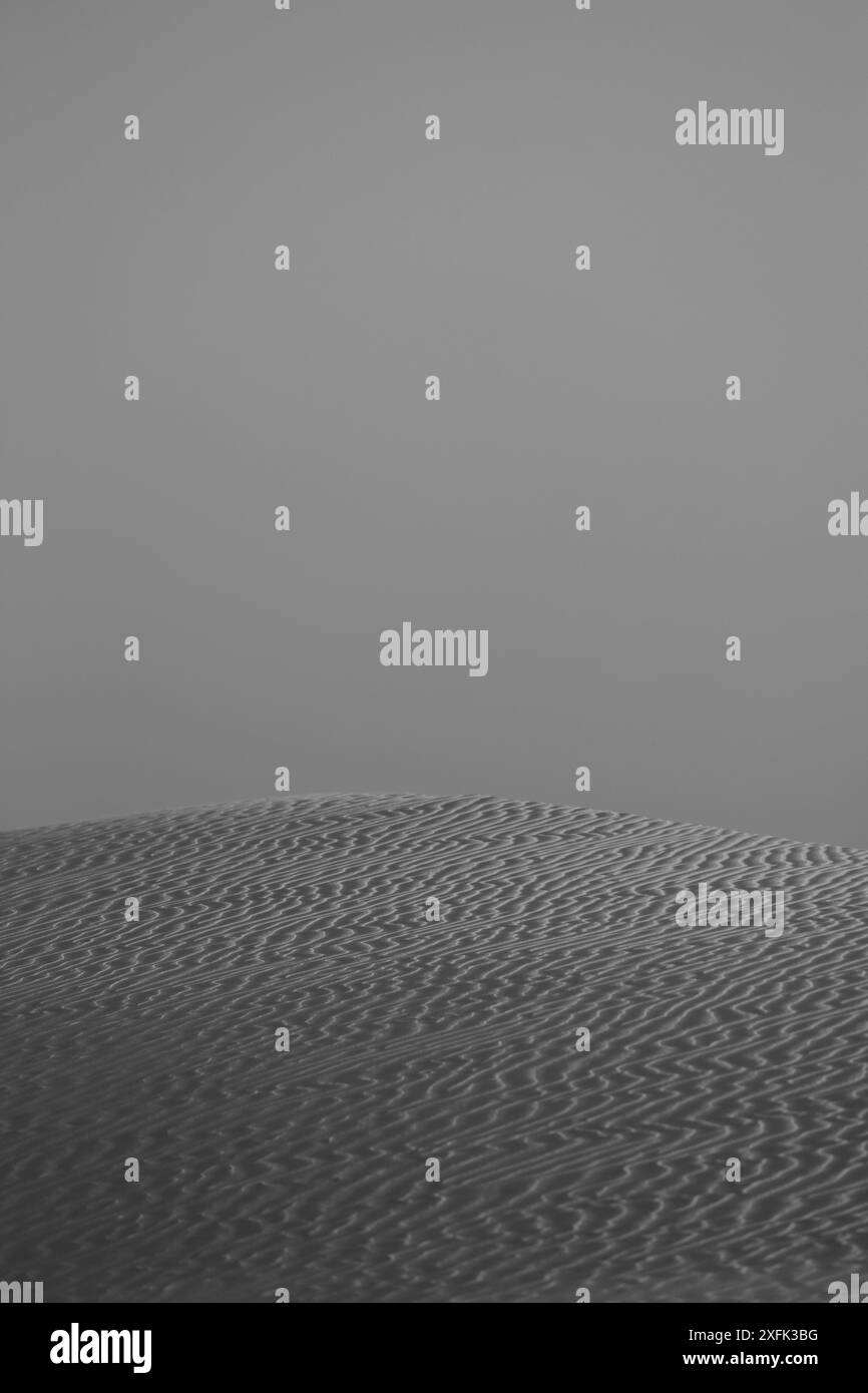 L'isola di Socotra offre una natura incredibile, paesaggi e specie botaniche rare e uniche. fauna e flora selvatiche con splendide spiagge e canyon Foto Stock