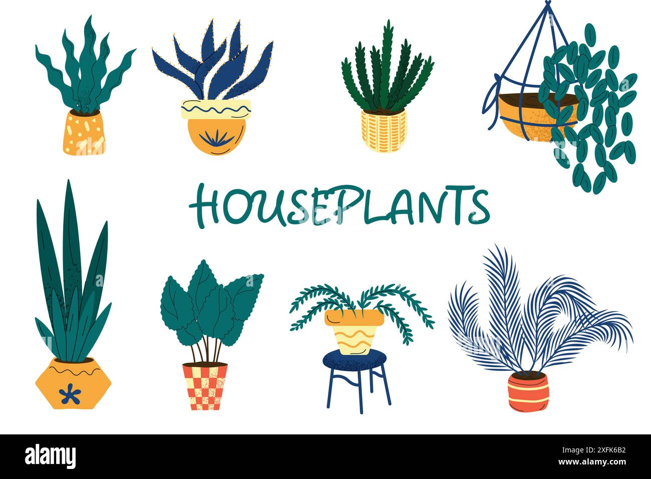 set di piante domestiche isolate su sfondo bianco Illustrazione Vettoriale