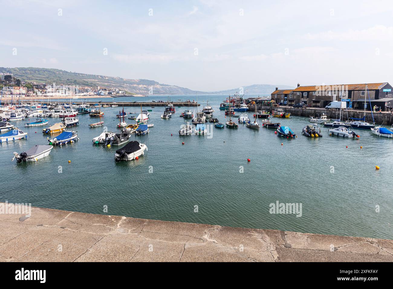 Lyme Regis, Dorset, Regno Unito, Inghilterra, Lyme Regis Regno Unito, Lyme Regis Dorset, Lyme Regis Harbour, Lyme Regis, Dorset, Regno Unito, Inghilterra, barche, porto di Lyme Regis, Foto Stock