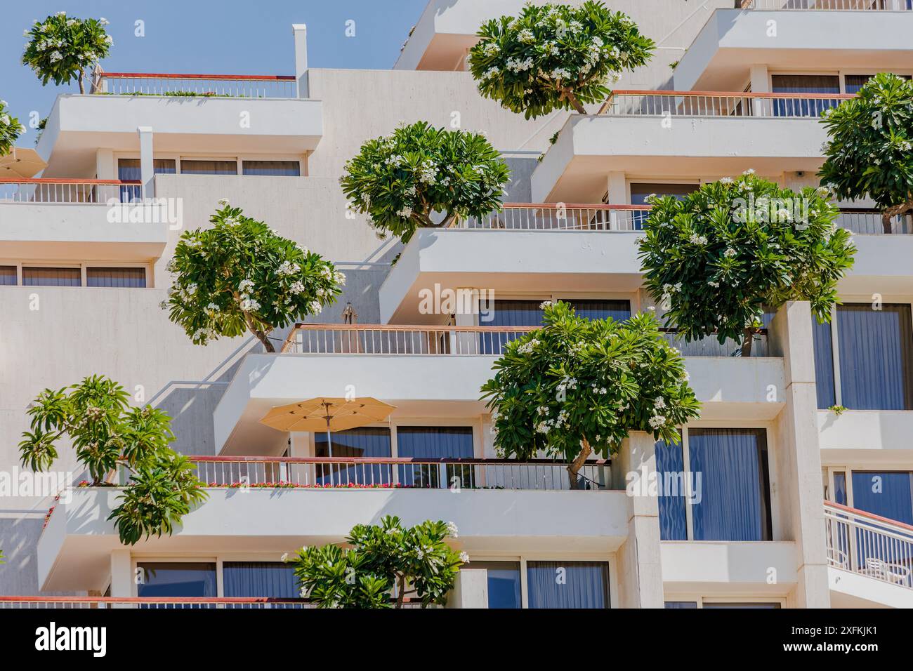 Il Dan Hotel a Eilat, Israele, è un hotel di lusso sulla costa del Mar Rosso. Alberi sui balconi. Concetto ecologico urbano Foto Stock