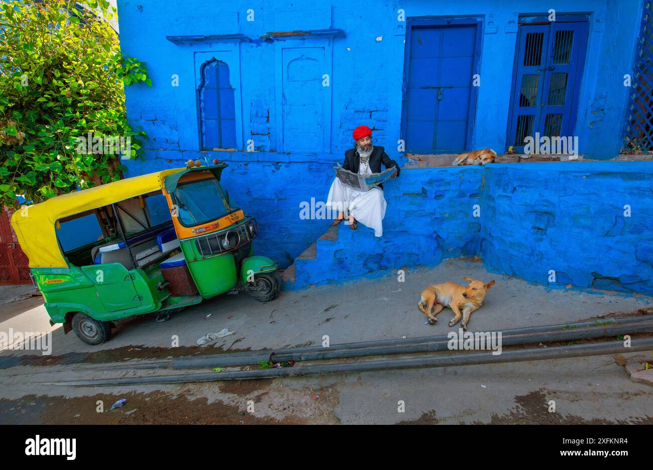 Un uomo legge un giornale seduto su un muro blu luminoso in via Jodhpur. Un risciò automatico, due cani completano la colorata e tranquilla scena di strada. Foto Stock