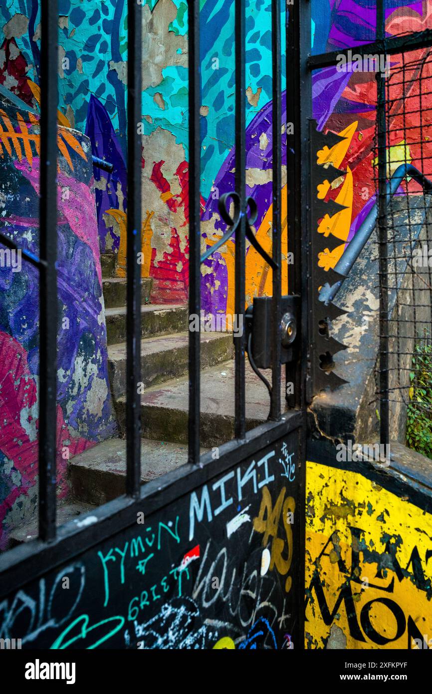 Una scala di una casa privata, decorata con opere d'arte graffiti, è visibile attraverso una porta di ferro sulla collina di Cerro Bellavista a Valparaíso, Cile. Foto Stock