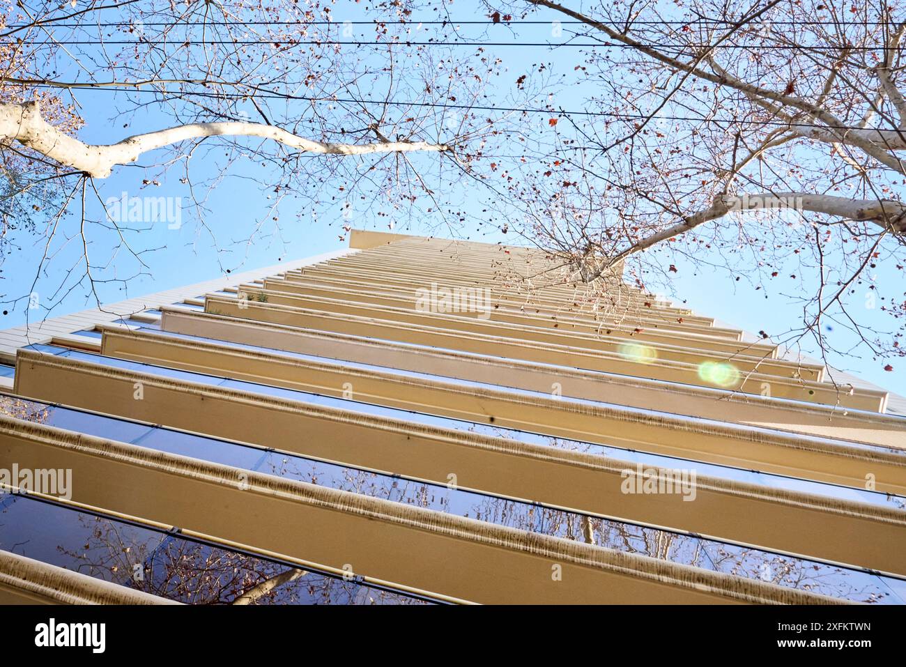 Vista dal basso verso l'alto di un alto edificio residenziale senza persone, cielo pulito, riflesso di alberi sui balconi. Le linee orizzontali accentuano il ge Foto Stock