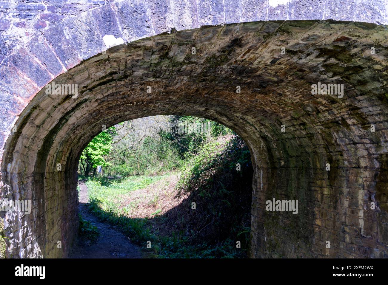 Dettaglio del sentiero pedonale Old Tow Path, accanto allo storico canale di Rolle e vista sotto il vecchio ponte Roving. Torrington Commons, Great Torrington, Devon Foto Stock