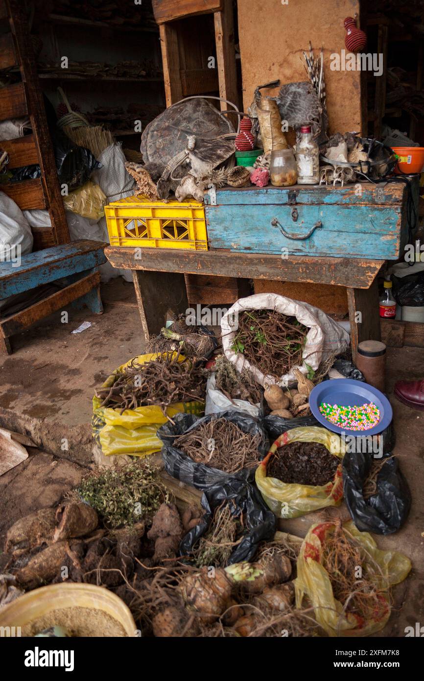 Mercato di Mbabane che vende parti di animali come stelle marine, conchiglie di tartaruga marina, pelle di serpente, gusci di porcospino, un pesce soffiato essiccato, la pelle di un riccio, un corallo, la pelliccia di un gatto maculato, una pelliccia di foca e teschi di scimmia. Swaziland, novembre 2009. Foto Stock