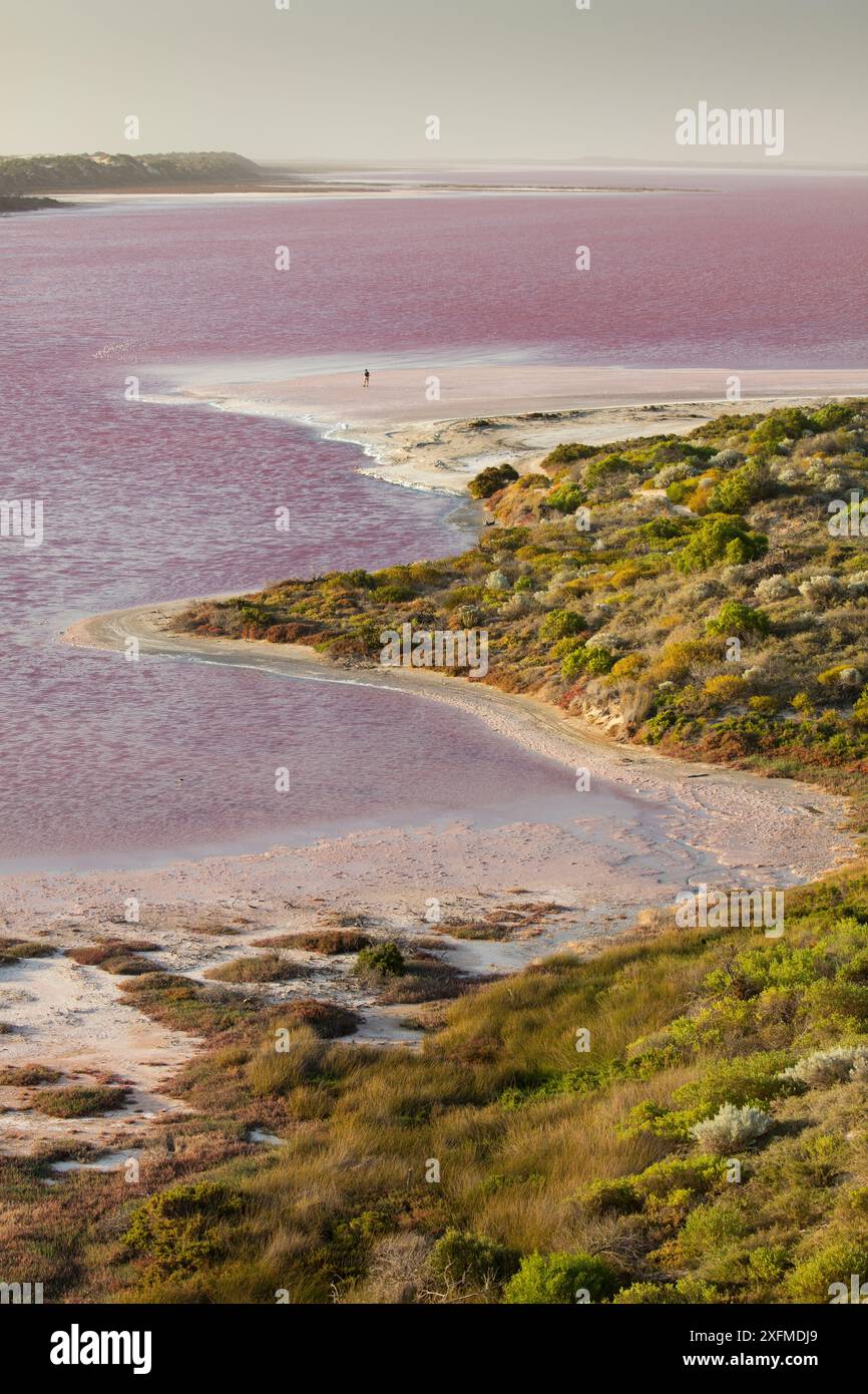 Donna che cammina lungo la riva del Rosa Laguna Hutt porto Gregorio, Western Australia, dicembre 2015. Foto Stock