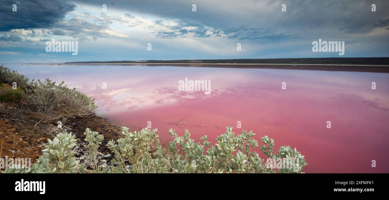 Panoramica della laguna rosa a Port Gregory, Australia Occidentale, dicembre 2015. Foto Stock