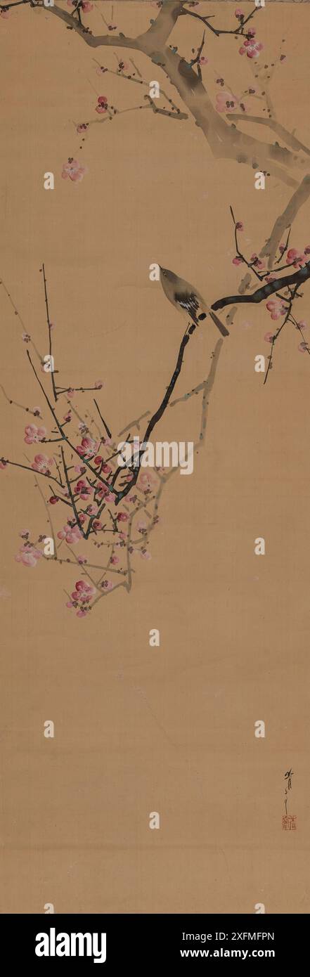 nightingale giapponese, su un ramo di prugna rossa. Museo: Collezione Claudio Perino. Autore: Watanabe Seitei (Shotei). Foto Stock