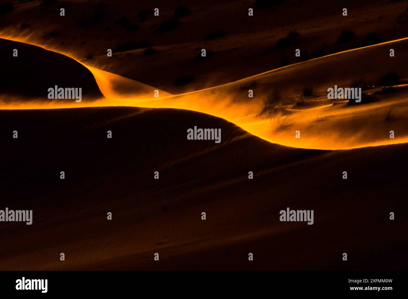 Deserto dell'Oman al tramonto. Foto Stock